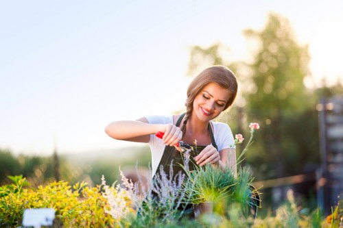 Gardener working in a Norwood front garden with tools and greenery