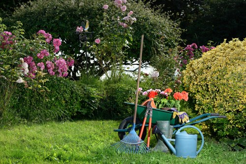 Large suburban garden clearance showing piles of turf and green waste