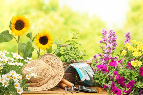 A vibrant garden scene featuring a wooden outdoor surface with various gardening tools and accessories arranged on it. Prominently, there are two tall sunflowers with yellow petals and dark centers, alongside clusters of white daisies with yellow centers, and bright pink and purple flowering plants creating a colorful border. A straw sun hat is placed near the plants, with gardening gloves, pruning shears, and a small trowel visible on the surface. The background displays a lush, blurred green garden landscape, suggesting a well-maintained, sunny outdoor space typical of residential gardens in Norwood, with natural light highlighting the textures and colours of the plants and tools. The scene reflects active gardening or outdoor maintenance, consistent with services offered by Gardening Services Norwood, including garden clearance and lawn care. The overall composition emphasizes a tidy, thriving garden environment with a cheerful, inviting atmosphere under clear weather conditions.
