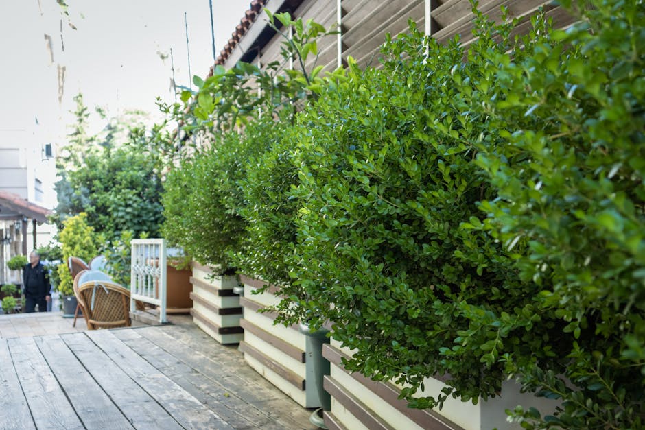 A quiet residential street featuring Victorian terraced houses with brick facades and tall chimneys, lined with neatly maintained front gardens filled with lush green shrubs, small flowering trees, an